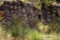 Inca Trail - Unexcavated Ruins at Runkuraqay